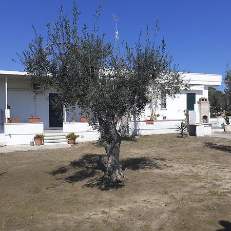 Casa Vacanza Fiorella 托里德欧索 客房 照片