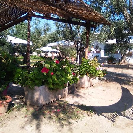 Casa Vacanza Fiorella 托里德欧索 外观 照片