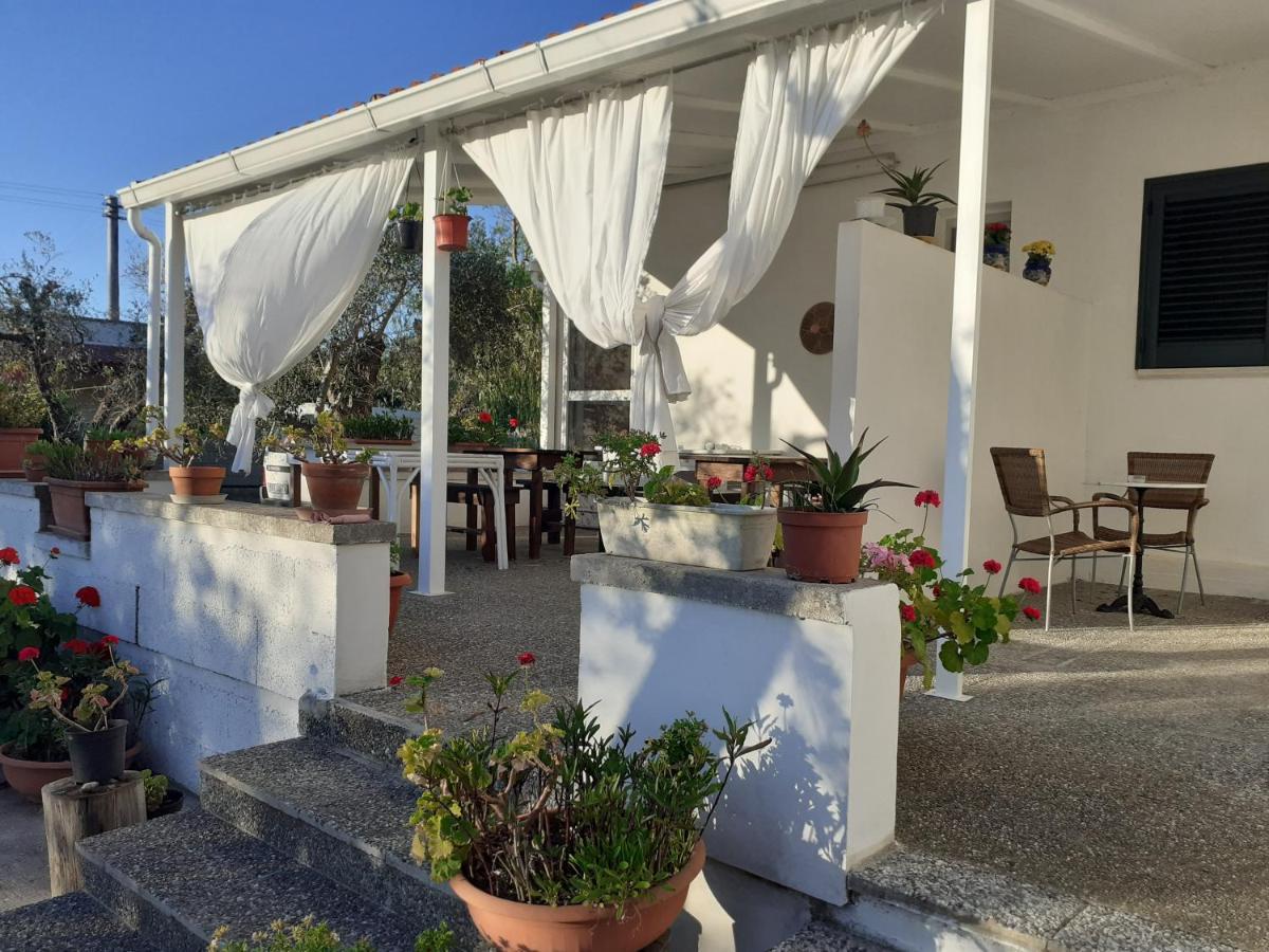 Casa Vacanza Fiorella 托里德欧索 外观 照片