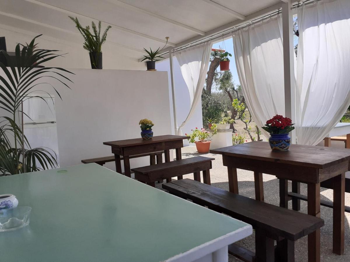 Casa Vacanza Fiorella 托里德欧索 外观 照片