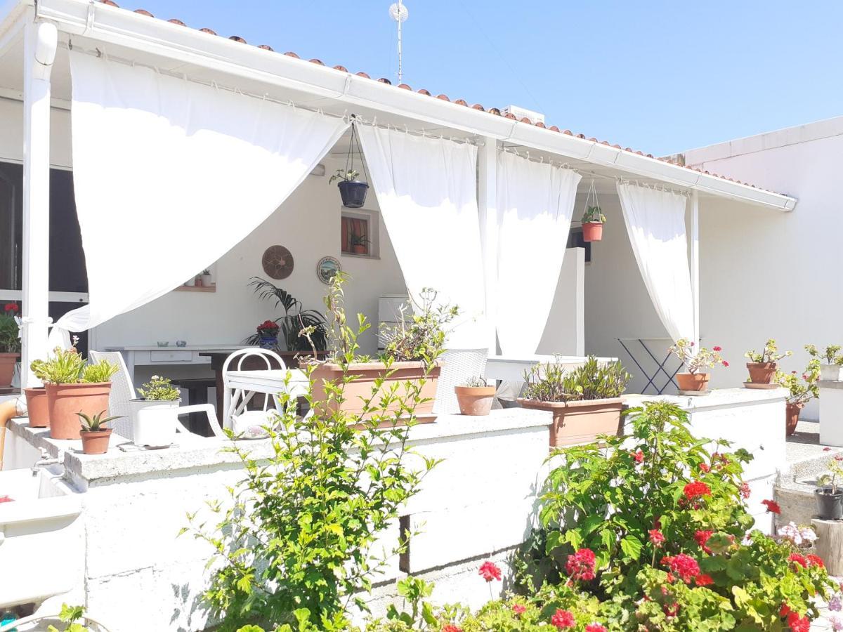Casa Vacanza Fiorella 托里德欧索 外观 照片