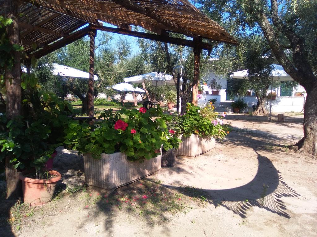 Casa Vacanza Fiorella 托里德欧索 外观 照片