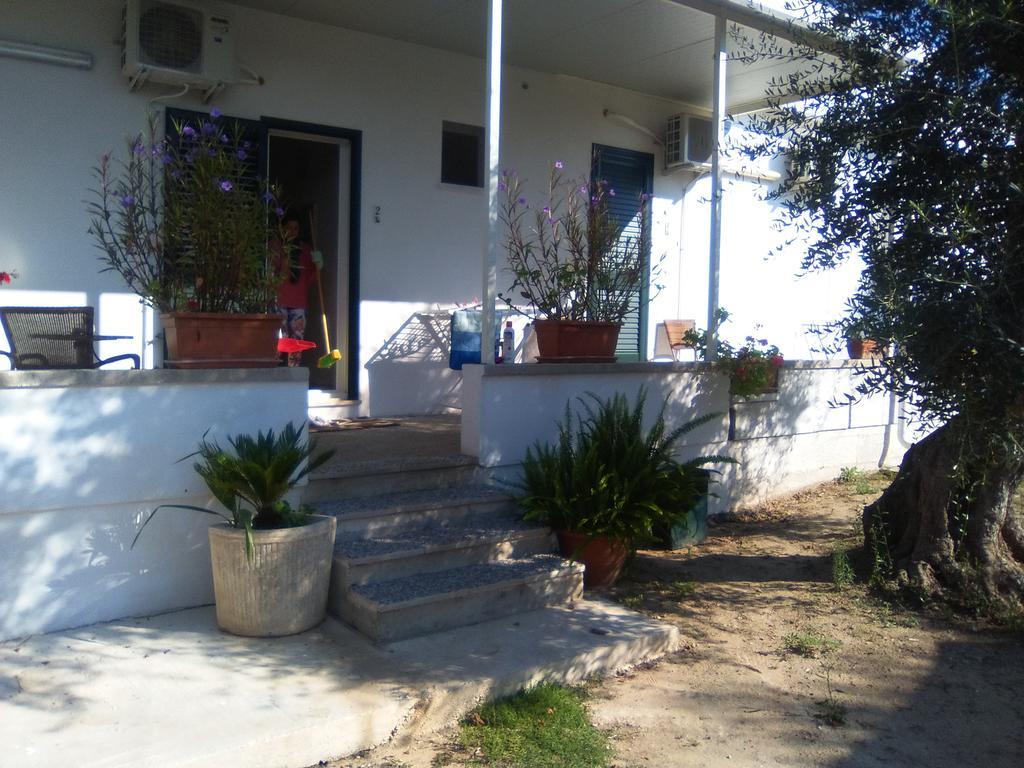 Casa Vacanza Fiorella 托里德欧索 外观 照片